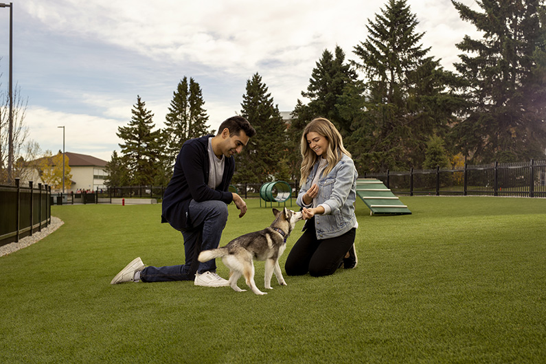 Currie_Bark Park_795x530